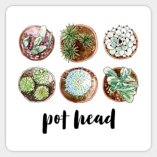 succulent pothead Sticker